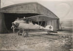 Albatros 1 v