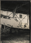 Albatros 8 v