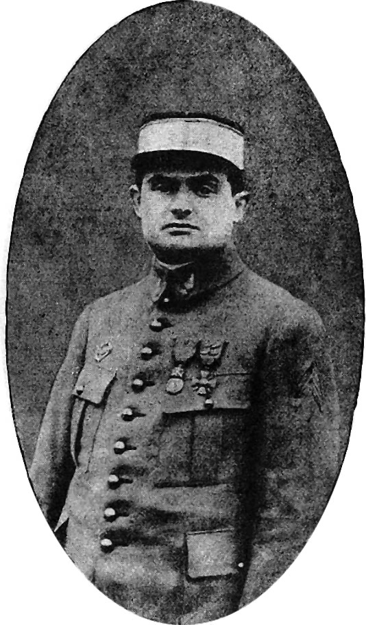 Sanglier Célestin